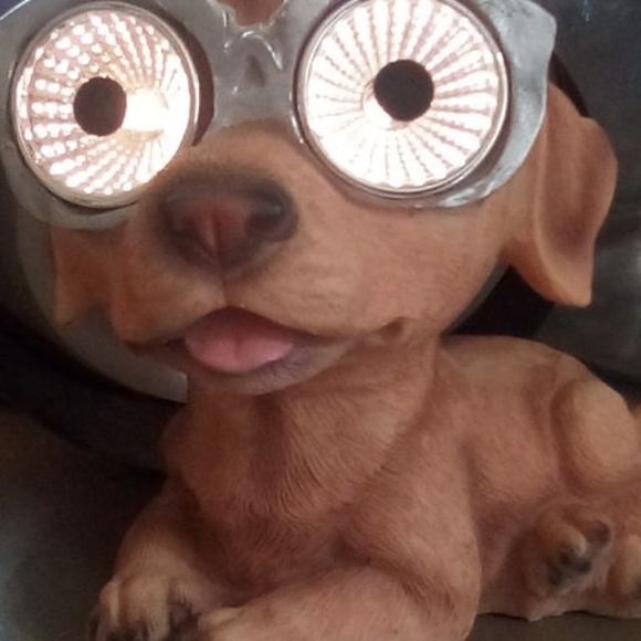 Meet your Posher, Bright - Picture 1 of 1